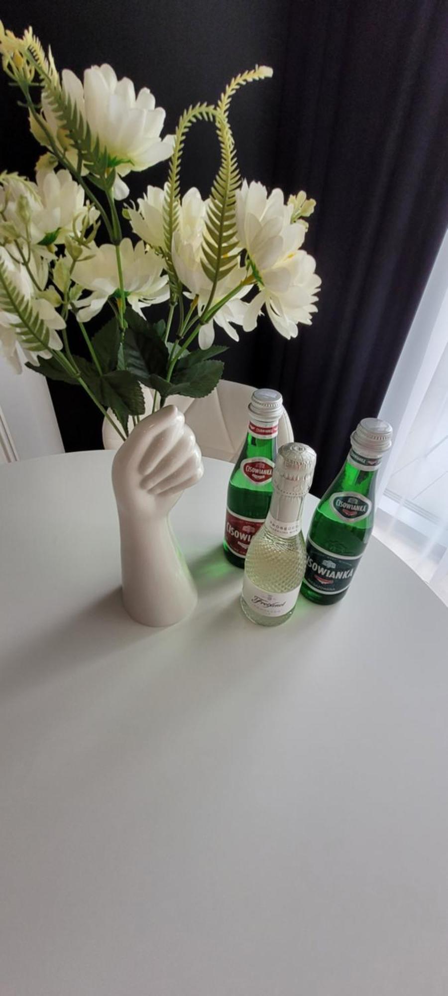 Hanza Tower Apartament 306, Basen, Sauna, Jacuzzi, Fitness Stettin Eksteriør billede